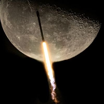 gertxhika's profile picture. 