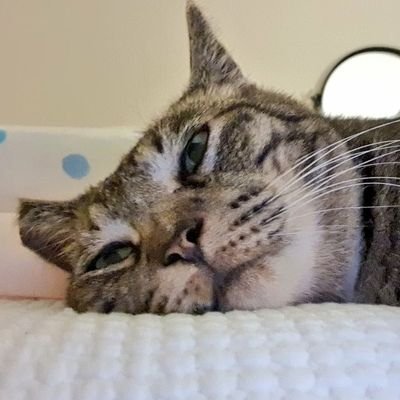 HyeYoung0115's profile picture. 그 정도 돈이라면 좋네