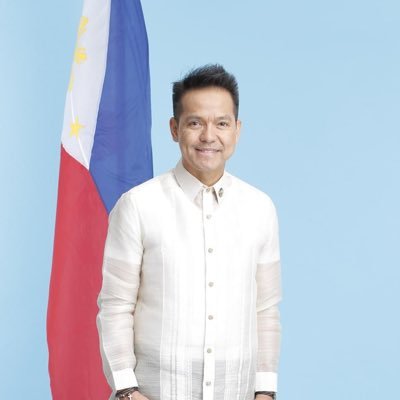 Chairperson, House Committee on Transportation of the 18th Congress | District Representative Samar, 1st District