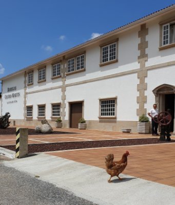 A family-owned Bodega located in the Rias Baixas D.O., Spain.
Dedicated to making quality Albariño,  using innovation, but whilst still respecting tradition.