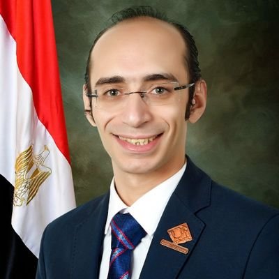 عضو مجلس النواب المصري،وكيل لجنة حقوق الإنسان، كاتب صحفي، عضو المجلس القومي لحقوق الانسان، عضو لجنة الخمسين لكتابة الدستور المصري 2014 أحد مؤسسي حركة تمرد