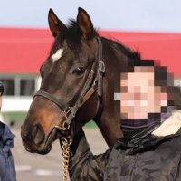 アダーインザダーク (@ada_in_the_dark) 's Twitter Profile