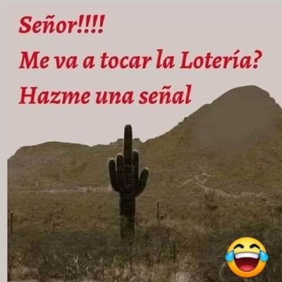 @Raymund05079126