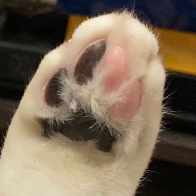 ぺるそなさんのプロフィール画像