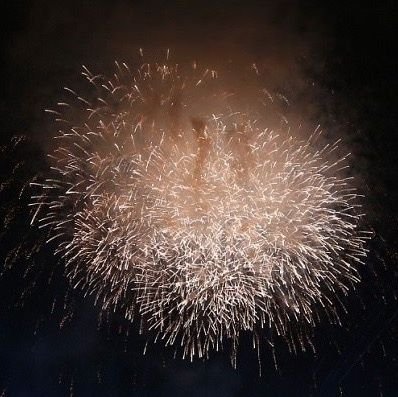 nognanamai's profile picture. 🕊️～♡