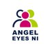 Angel Eyes NI (@Angeleyes_ni) Twitter profile photo