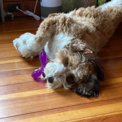 DoyoDanielle's profile picture. 