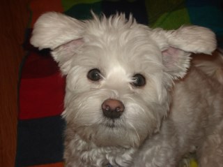 personAM's profile picture. news junkie.  healthcare professional. loves a FULL cup of ice with all my drinks.