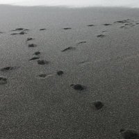 Tour of Lake (@hhspanab) 's Twitter Profile