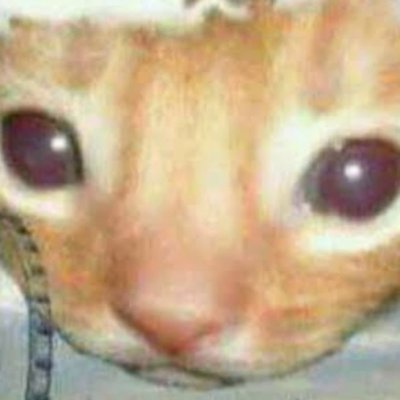 Panecilloさんのプロフィール画像