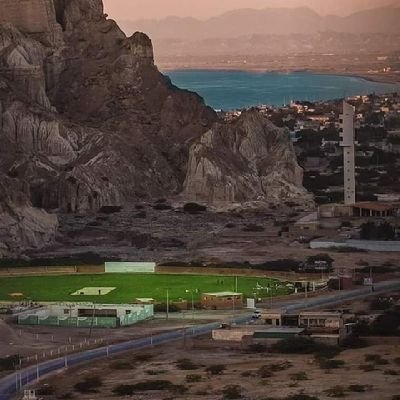 Batrachotoxin_x's profile picture. 