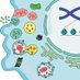 Simon Lab (@aksimonlab) Twitter profile photo Simon Lab (@aksimonlab) Twitter profile photo