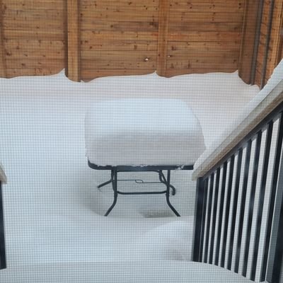 TulMusa's profile picture. 