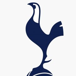 SpursYou Profile Picture