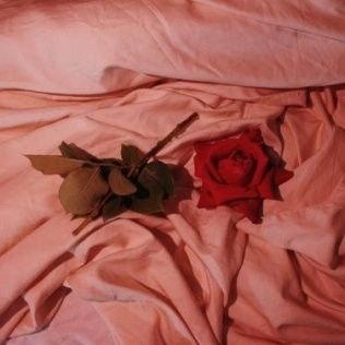 siaop8_9's profile picture. 화귀.마도.천관.얼하.인사 중장르 구독계 + 내스급