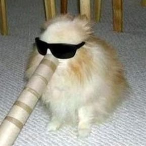 VrabelAdrian's profile picture. 