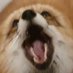 👀laxus (@Celaxus) Twitter profile photo 👀laxus (@Celaxus) Twitter profile photo