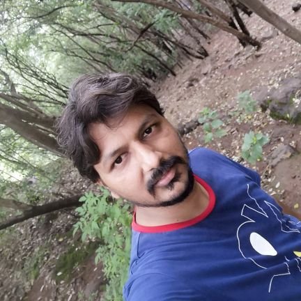 AnkushD95253765's profile picture. 