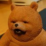 tore_sen311's profile picture. ツイキャスを中心に出没してます。無言フォロー、DMは基本見ません。