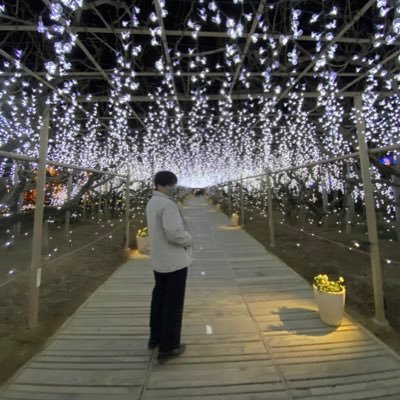 nobuprogggg's profile picture. 