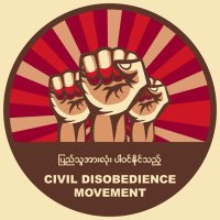 Civil Disobedience Movement(@cvdom2021) 's Twitter Profile Photo