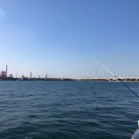 翔太 (@mjee0a) 's Twitter Profile