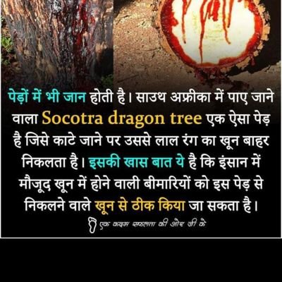 BELEIVE IN YOUR SELF NO ONE IS FOR YOU ASTROLOGER,TAROT READER,HEALER,TANTRA SHASTR, NUMEROLOGIST,SAADHAK