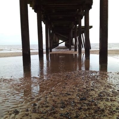 PeaceLoveUnit16's profile picture. Make love not war