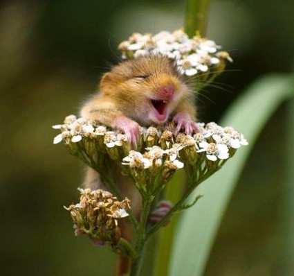 NaTa1964's profile picture. Люблю свою страну - Россию!!!