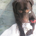 Leann Kate Rodrigues - @LeannLoveBieber - Twitter