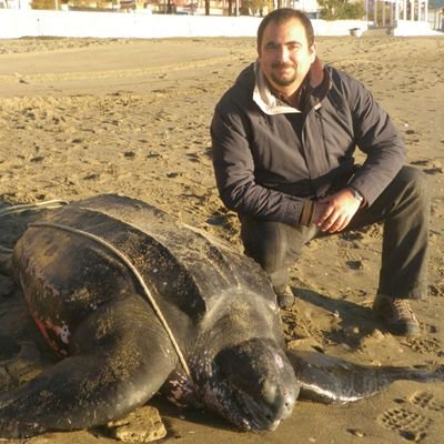 Investigador del Instituto Español de Oceanografía, enfocado a las pesquerías de Tunidos y Bycatch. Miembro del grupo de Expertos de tortugas marinas de la IUCN