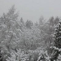 Amber F. (@amber_fpunkt) 's Twitter Profile Photo Amber F. (@amber_fpunkt) 's Twitter Profile Photo