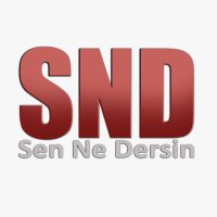 Sen Ne Dersin?(@_SenNeDersin) 's Twitter Profile Photo