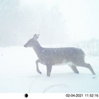 jbully05 (@jbully5) 's Twitter Profile Photo