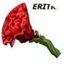 Biniam (@hagereyeritrea_) Twitter profile photo Biniam (@hagereyeritrea_) Twitter profile photo