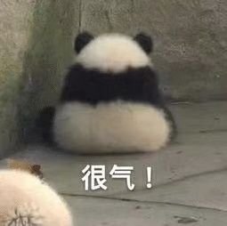 buxinghaom's profile picture. 无