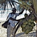 Samuel Quartey - @dodowa - Twitter