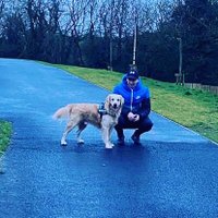 Neil lynch (@neillynch94) 's Twitter Profile