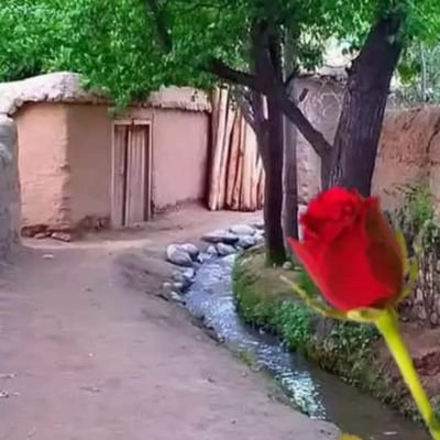 NamatEnam's profile picture. Afghan N Army