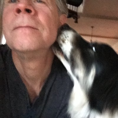 Musician, owned by two border collies, lost without nature. Constantly curious. Bringing the snark to those in need. Jazz Brazilian and beyond at https://t.co/Wor0ebEvJG