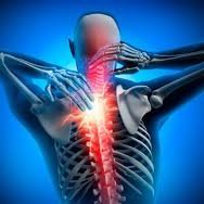 Musculoskeletal disorders (MSD) are injuries or disorders of the muscles, nerves, tendons, joints, cartilage, and spinal discs.
Miami University 
KNH Department