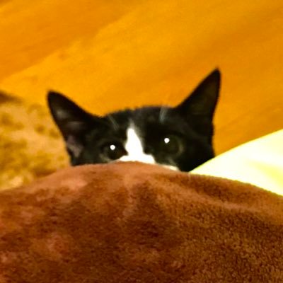 Asami 私も4年一緒にいる180cmのフィカス ウンベラータちゃんがいます 1度枯れそうになりましたが復活したのも同じです 植物は色々考えさせてくれますね Asami 私も4年一緒にいる180cmのフィカス ウンベラータちゃんがいます 1度枯れそうになりましたが復活したのも同じです 植物は色々考えさせてくれますね