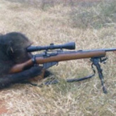 AffWaffe's profile picture. 