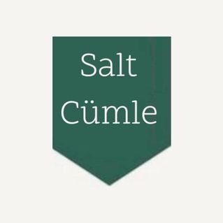 salt cümle