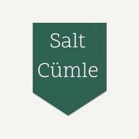 salt cümle(@saltcumlee) 's Twitter Profile Photo