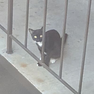 MaxwellMcintire's profile picture. yes