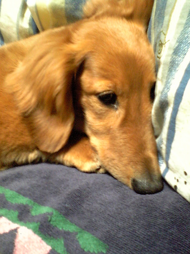 AngelTatsuo's profile picture. ライブ鑑賞が大好きな男です！
なかなかつぶやくことはないと思いますがよろしくお願いします。