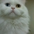 HJ0210's profile image
