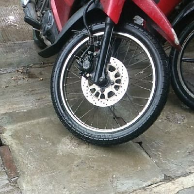 Kucing91204644's profile picture. 💯followback