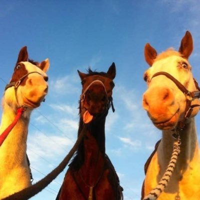 EmleighD's profile picture. My daily thoughts and jokes that are not at all good